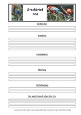 Ara-Steckbriefvorlage.pdf